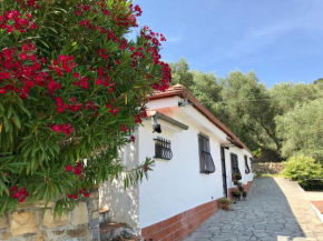 Charmantes Ferienhaus Casa Uliveto Mit Terrasse Und Garten Diano San Pietro